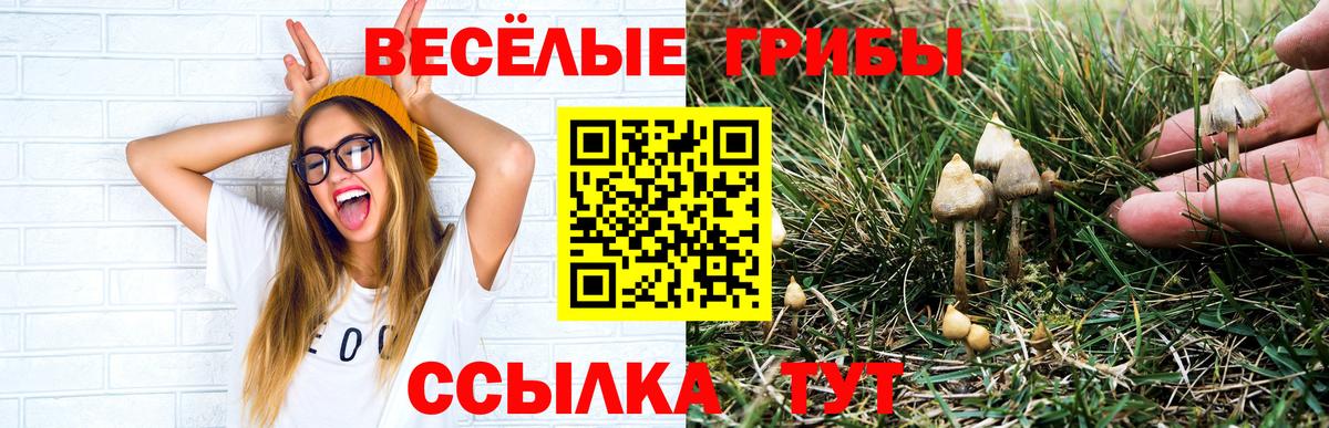 Галлюциногенные грибы мухоморы Новочебоксарск